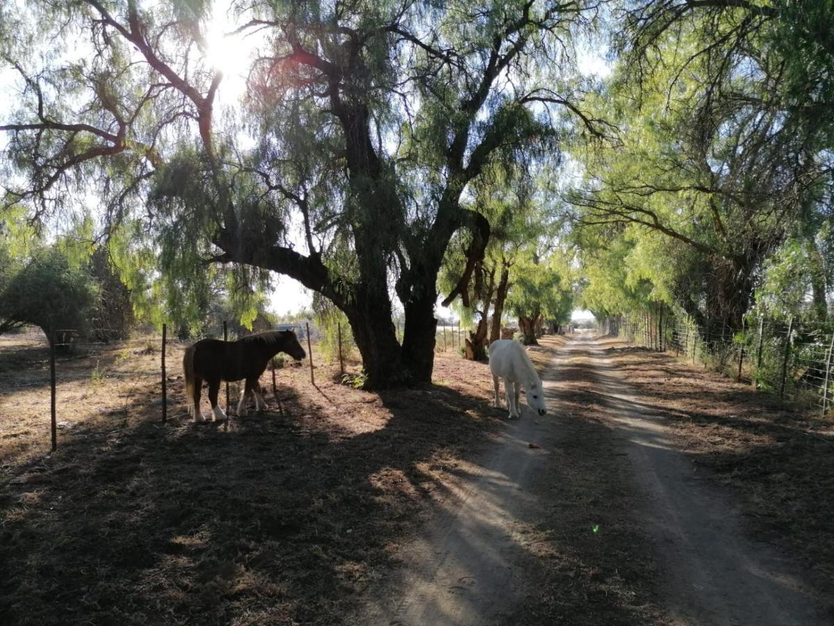 Doornfontein Guest Farm Cradock Exterior foto