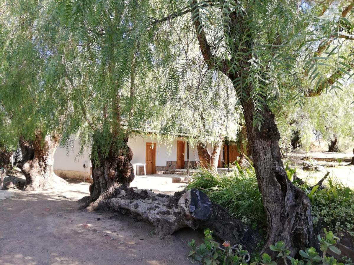 Doornfontein Guest Farm Cradock Exterior foto